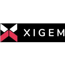 Xigem Technologies Corporation